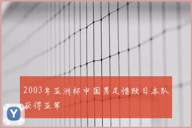 2003年亚洲杯中国男足惜败日本队获得亚军