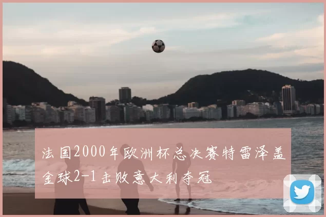 法国2000年欧洲杯总决赛特雷泽盖金球2-1击败意大利夺冠