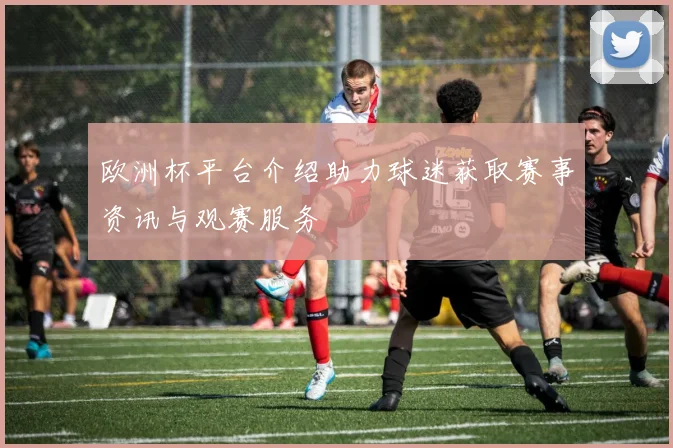欧洲杯平台介绍助力球迷获取赛事资讯与观赛服务