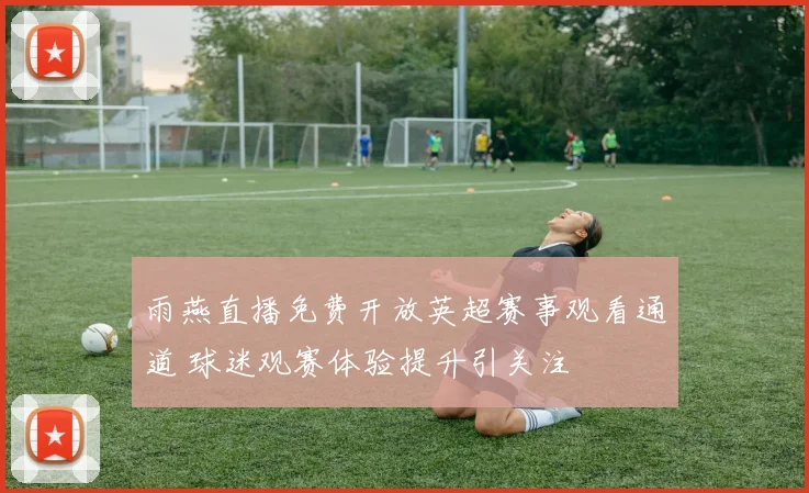 雨燕直播免费开放英超赛事观看通道 球迷观赛体验提升引关注