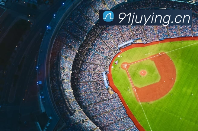 世界杯在线看球平台生态图